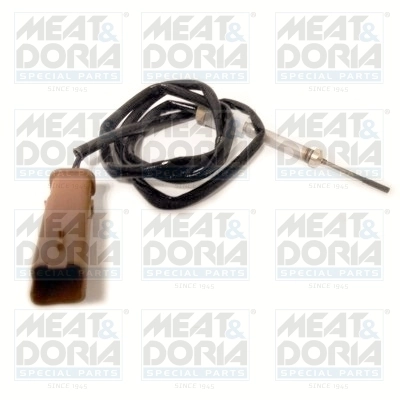 Sensor, exhaust gas temperature